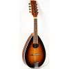 MDL260 Mandolin Sunburst