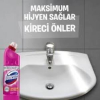 Domestos 750 Ml Çamaşır Suyu Pembe Güç