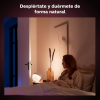 Philips Hue Iris Siyah - 929002376201