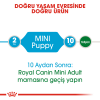 Royal Canin Mini Puppy 2 Kg Yavru Köpek Maması