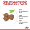 Royal Canin Mini Puppy 2 Kg Yavru Köpek Maması