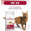 Royal Canin Fit 32 15 Kg Kedi Maması