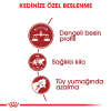 Royal Canin Fit 32 15 Kg Kedi Maması