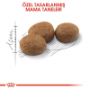 Royal Canin Sterilised Kısırlaştırılmış 4 Kg Kedi Maması