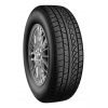 Petlas Snow Master W651 195/65r15 91h