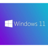 MICROSOFT WINDOWS 11 PRO 64Bit OEM TR FQC-10556