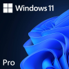 MS WINDOWS 11 PRO 64BIT ENG (OEM) FQC-10528